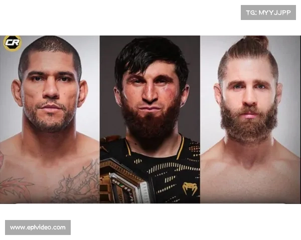 2026年UFC冠军预测爆冷：莫卡耶夫被看好回归即夺冠